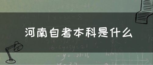 河南自考本科是什么